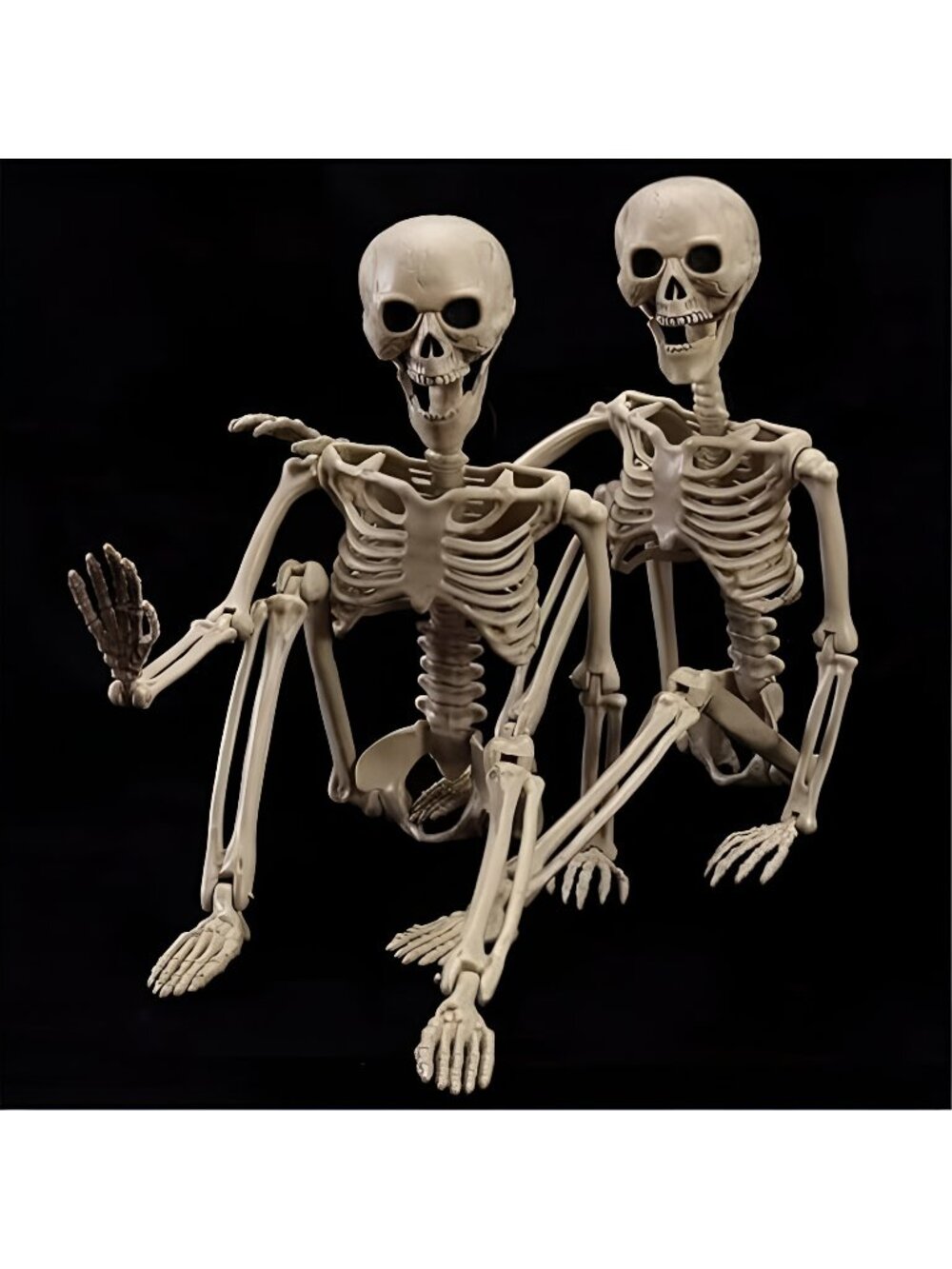 2-Pack 40" Pose-N-Stay Halloween Skeletons, Life-Size Full Body Realistic